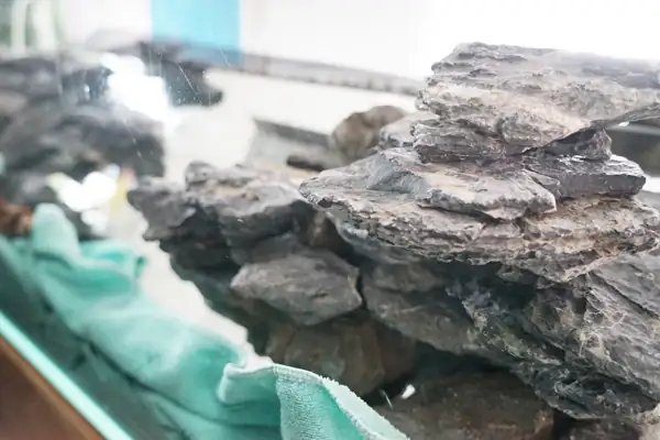 Steps progression IAPLC 2016 Silver Prize - OverTime - Katsuki Tanaka / Japan