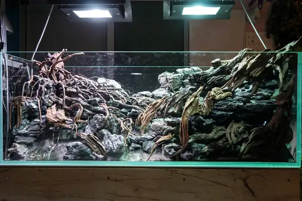 Steps progression IAPLC 2016 Silver Prize - OverTime - Katsuki Tanaka / Japan