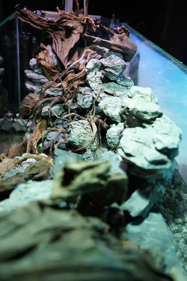 Steps progression IAPLC 2016 Silver Prize - OverTime - Katsuki Tanaka / Japan