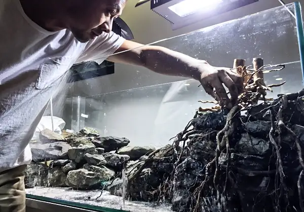 Steps progression IAPLC 2016 Silver Prize - OverTime - Katsuki Tanaka / Japan