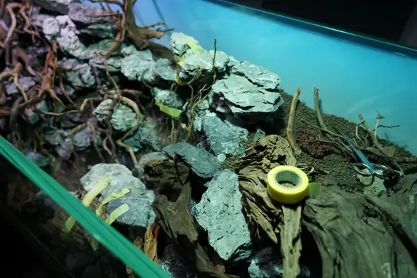 Steps progression IAPLC 2016 Silver Prize - OverTime - Katsuki Tanaka / Japan