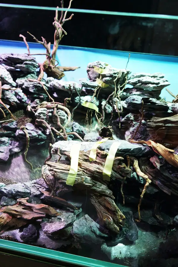 Steps progression IAPLC 2016 Silver Prize - OverTime - Katsuki Tanaka / Japan