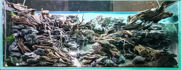 Steps progression IAPLC 2016 Silver Prize - OverTime - Katsuki Tanaka / Japan