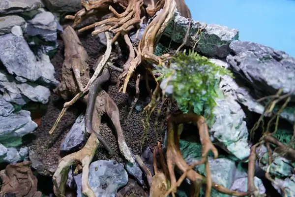 Steps progression IAPLC 2016 Silver Prize - OverTime - Katsuki Tanaka / Japan