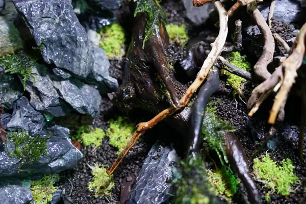 Steps progression IAPLC 2016 Silver Prize - OverTime - Katsuki Tanaka / Japan