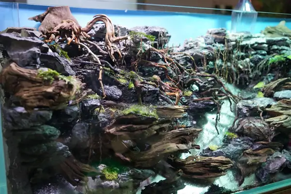 Steps progression IAPLC 2016 Silver Prize - OverTime - Katsuki Tanaka / Japan