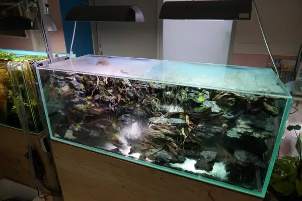 Steps progression IAPLC 2016 Silver Prize - OverTime - Katsuki Tanaka / Japan