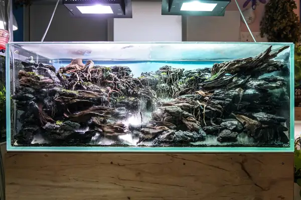 Steps progression IAPLC 2016 Silver Prize - OverTime - Katsuki Tanaka / Japan