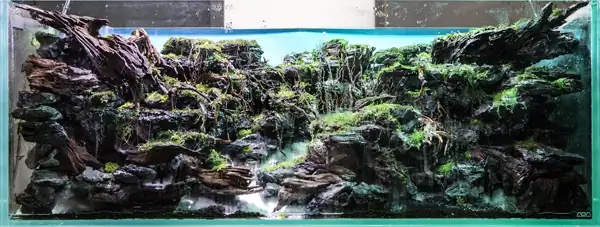 Steps progression IAPLC 2016 Silver Prize - OverTime - Katsuki Tanaka / Japan