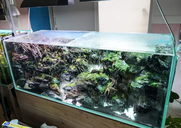 Steps progression IAPLC 2016 Silver Prize - OverTime - Katsuki Tanaka / Japan