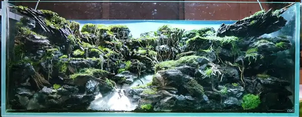 Steps progression IAPLC 2016 Silver Prize - OverTime - Katsuki Tanaka / Japan