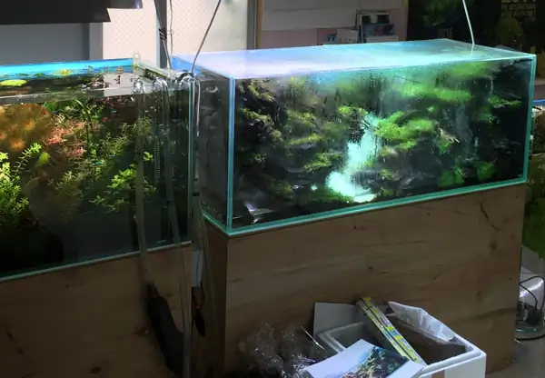 Steps progression IAPLC 2016 Silver Prize - OverTime - Katsuki Tanaka / Japan