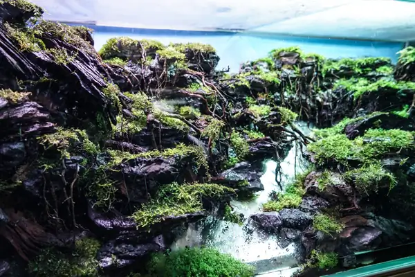 Steps progression IAPLC 2016 Silver Prize - OverTime - Katsuki Tanaka / Japan