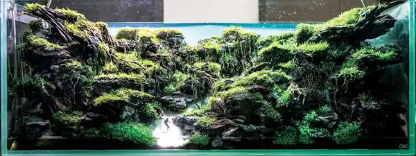 Steps progression IAPLC 2016 Silver Prize - OverTime - Katsuki Tanaka / Japan