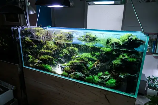 Steps progression IAPLC 2016 Silver Prize - OverTime - Katsuki Tanaka / Japan