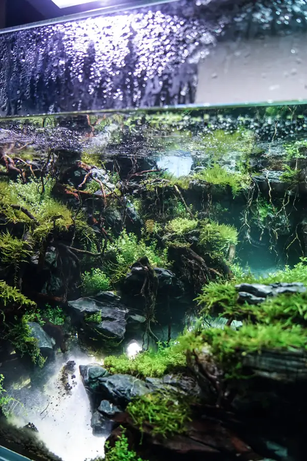 Steps progression IAPLC 2016 Silver Prize - OverTime - Katsuki Tanaka / Japan