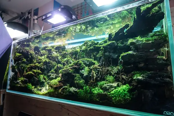 Steps progression IAPLC 2016 Silver Prize - OverTime - Katsuki Tanaka / Japan