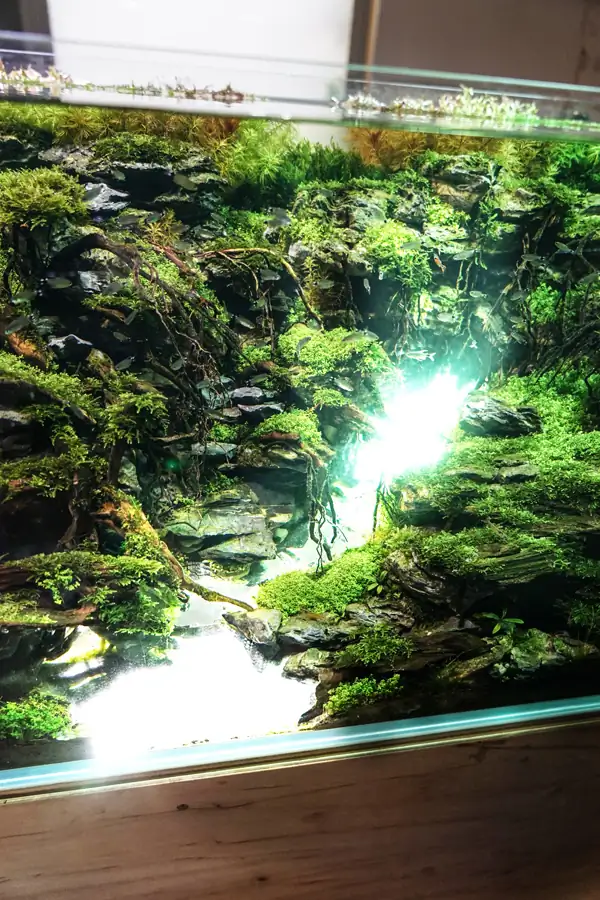 Steps progression IAPLC 2016 Silver Prize - OverTime - Katsuki Tanaka / Japan