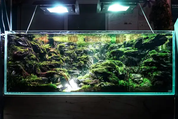 Steps progression IAPLC 2016 Silver Prize - OverTime - Katsuki Tanaka / Japan