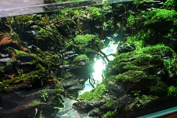 Steps progression IAPLC 2016 Silver Prize - OverTime - Katsuki Tanaka / Japan