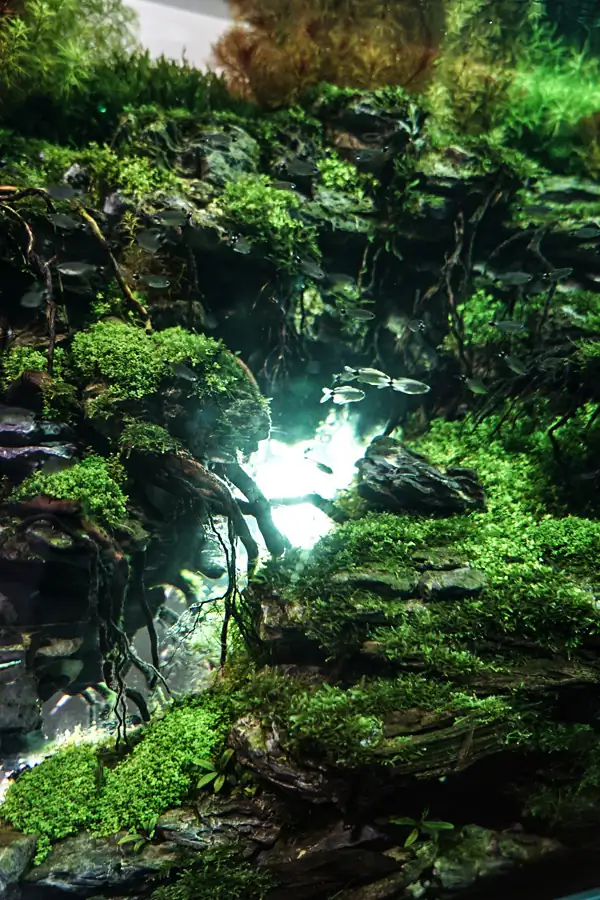 Steps progression IAPLC 2016 Silver Prize - OverTime - Katsuki Tanaka / Japan