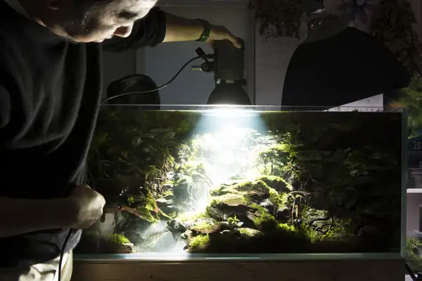 Steps progression IAPLC 2016 Silver Prize - OverTime - Katsuki Tanaka / Japan