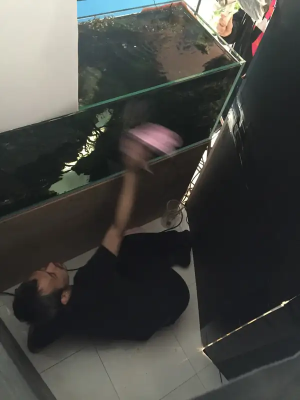 Steps progression IAPLC 2016 Silver Prize - OverTime - Katsuki Tanaka / Japan