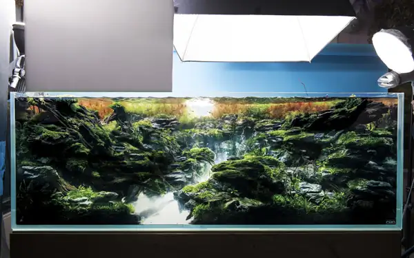 Steps progression IAPLC 2016 Silver Prize - OverTime - Katsuki Tanaka / Japan