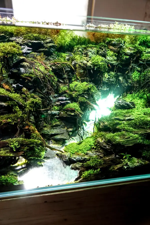 Steps progression IAPLC 2016 Silver Prize - OverTime - Katsuki Tanaka / Japan