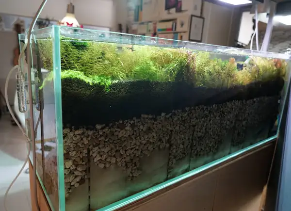 Steps progression IAPLC 2016 Silver Prize - OverTime - Katsuki Tanaka / Japan