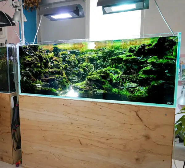 Steps progression IAPLC 2016 Silver Prize - OverTime - Katsuki Tanaka / Japan