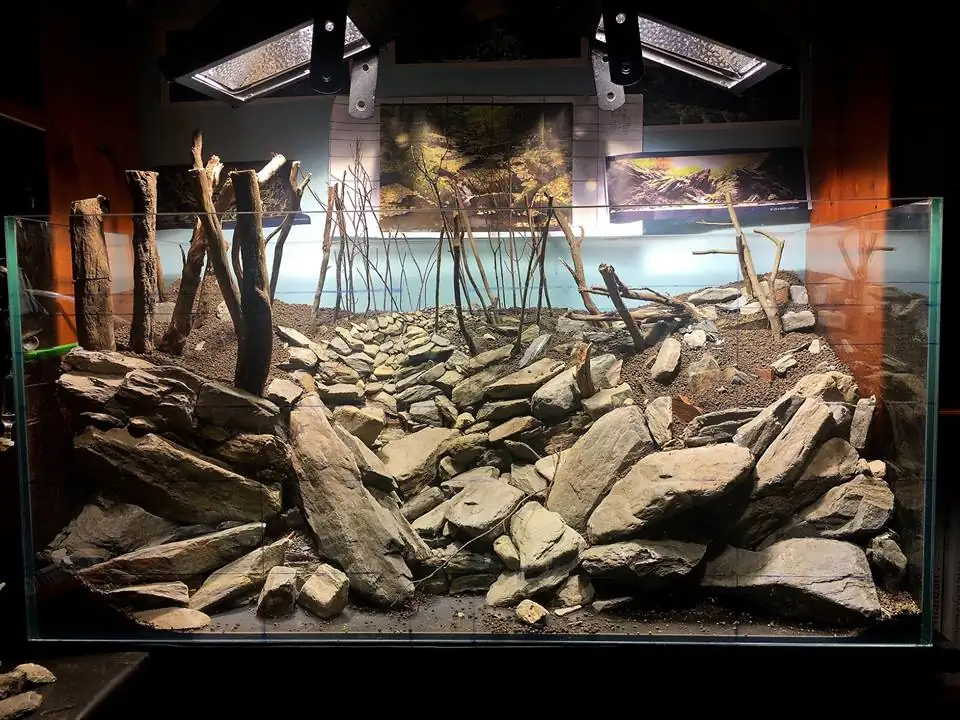 How to make an aquatic plant aquarium ranked 111th in the world - IAPLC 2017 - How to make an aquatic plant aquarium ranked 27th in the world - IAPLC 2018 - Montseny How to make an aquatic plant aquarium ranked 111th in the world - IAPLC 2017 - How to make an aquatic plant aquarium ranked 27th in the world - IAPLC 2018 - Montseny