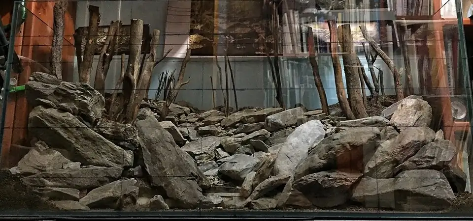 How to make an aquatic plant aquarium ranked 111th in the world - IAPLC 2017 - How to make an aquatic plant aquarium ranked 27th in the world - IAPLC 2018 - Montseny How to make an aquatic plant aquarium ranked 111th in the world - IAPLC 2017 - How to make an aquatic plant aquarium ranked 27th in the world - IAPLC 2018 - Montseny