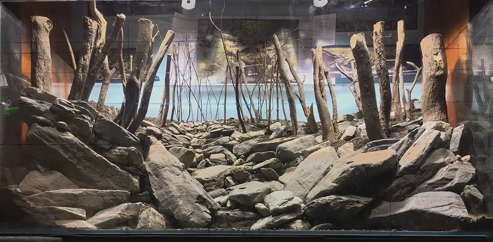 How to make an aquatic plant aquarium ranked 111th in the world - IAPLC 2017 - How to make an aquatic plant aquarium ranked 27th in the world - IAPLC 2018 - Montseny How to make an aquatic plant aquarium ranked 111th in the world - IAPLC 2017 - How to make an aquatic plant aquarium ranked 27th in the world - IAPLC 2018 - Montseny