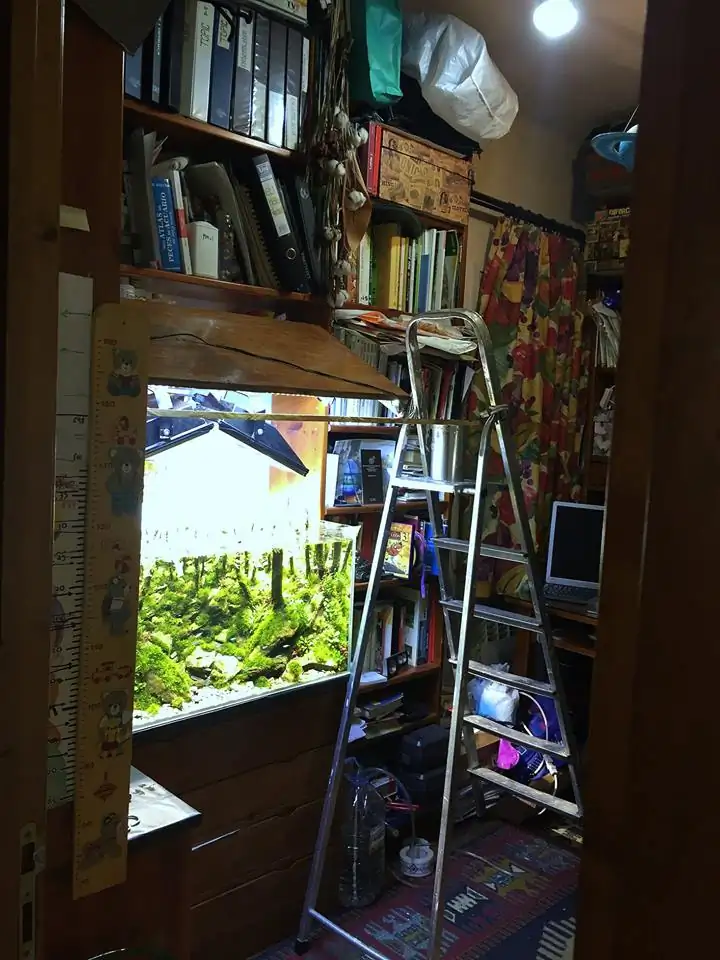 How to make an aquatic plant aquarium ranked 111th in the world - IAPLC 2017 - How to make an aquatic plant aquarium ranked 27th in the world - IAPLC 2018 - Montseny How to make an aquatic plant aquarium ranked 111th in the world - IAPLC 2017 - How to make an aquatic plant aquarium ranked 27th in the world - IAPLC 2018 - Montseny