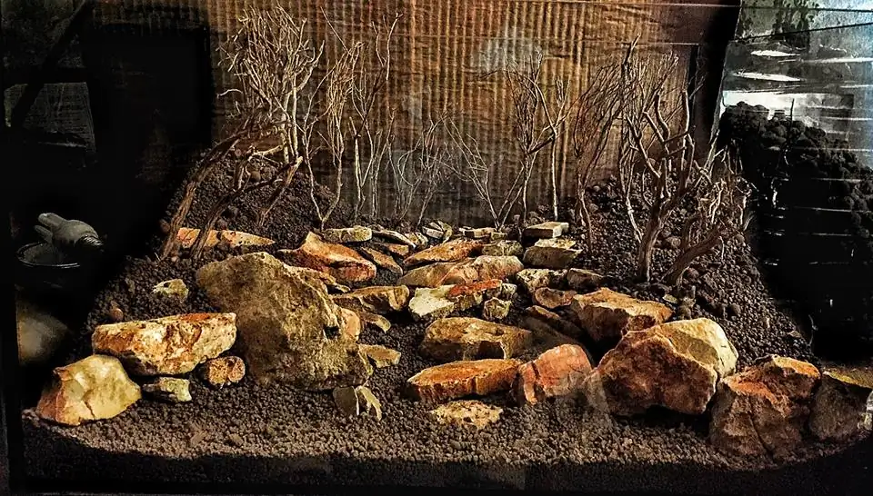 How to make an aquatic plant aquarium ranked 111th in the world - IAPLC 2017 - How to make an aquatic plant aquarium ranked 27th in the world - IAPLC 2018 - Montseny How to make an aquatic plant aquarium ranked 111th in the world - IAPLC 2017 - How to make an aquatic plant aquarium ranked 27th in the world - IAPLC 2018 - Montseny