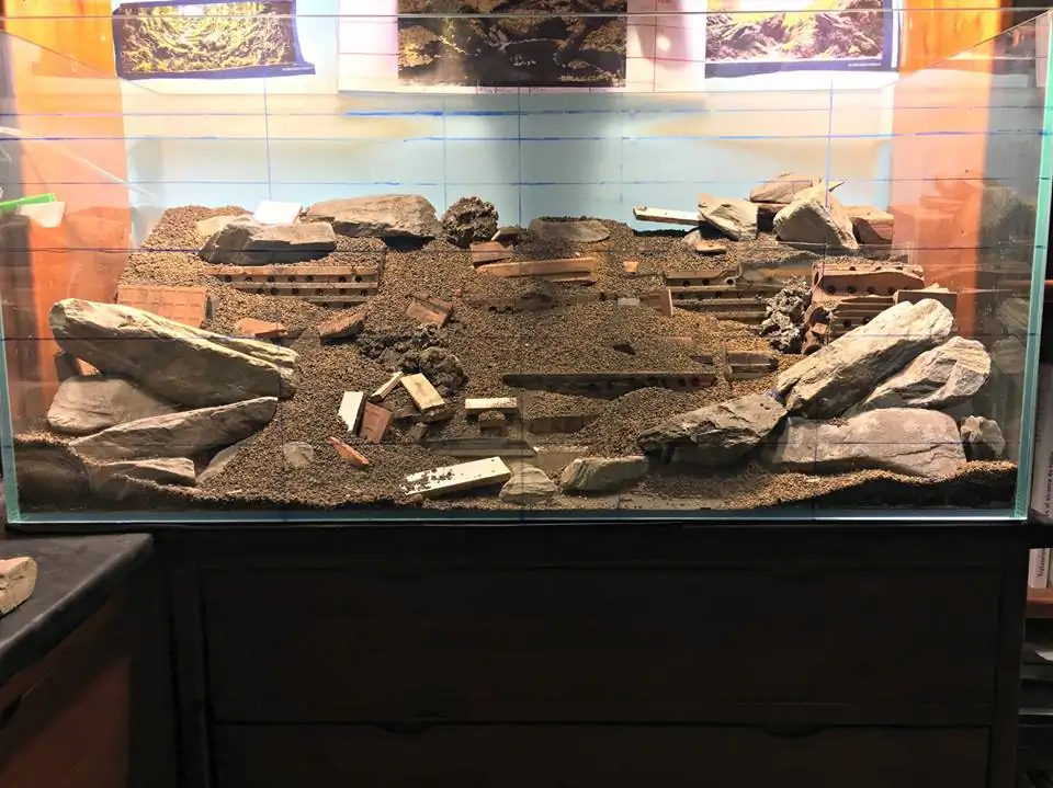 How to make an aquatic plant aquarium ranked 111th in the world - IAPLC 2017 - How to make an aquatic plant aquarium ranked 27th in the world - IAPLC 2018 - Montseny How to make an aquatic plant aquarium ranked 111th in the world - IAPLC 2017 - How to make an aquatic plant aquarium ranked 27th in the world - IAPLC 2018 - Montseny