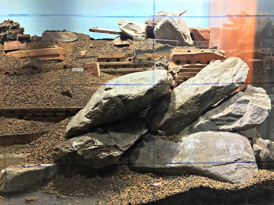 How to make an aquatic plant aquarium ranked 111th in the world - IAPLC 2017 - How to make an aquatic plant aquarium ranked 27th in the world - IAPLC 2018 - Montseny How to make an aquatic plant aquarium ranked 111th in the world - IAPLC 2017 - How to make an aquatic plant aquarium ranked 27th in the world - IAPLC 2018 - Montseny