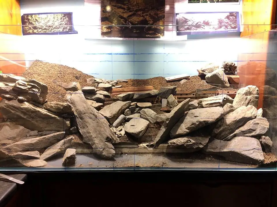 How to make an aquatic plant aquarium ranked 111th in the world - IAPLC 2017 - How to make an aquatic plant aquarium ranked 27th in the world - IAPLC 2018 - Montseny How to make an aquatic plant aquarium ranked 111th in the world - IAPLC 2017 - How to make an aquatic plant aquarium ranked 27th in the world - IAPLC 2018 - Montseny