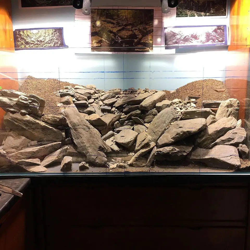 How to make an aquatic plant aquarium ranked 111th in the world - IAPLC 2017 - How to make an aquatic plant aquarium ranked 27th in the world - IAPLC 2018 - Montseny How to make an aquatic plant aquarium ranked 111th in the world - IAPLC 2017 - How to make an aquatic plant aquarium ranked 27th in the world - IAPLC 2018 - Montseny