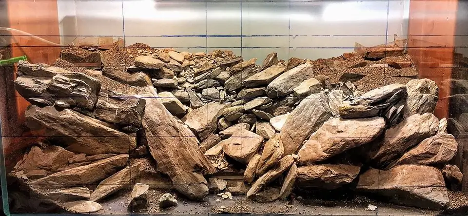 How to make an aquatic plant aquarium ranked 111th in the world - IAPLC 2017 - How to make an aquatic plant aquarium ranked 27th in the world - IAPLC 2018 - Montseny How to make an aquatic plant aquarium ranked 111th in the world - IAPLC 2017 - How to make an aquatic plant aquarium ranked 27th in the world - IAPLC 2018 - Montseny