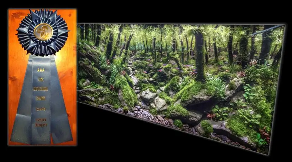 How to make an aquatic plant aquarium ranked 111th in the world - IAPLC 2017 - How to make an aquatic plant aquarium ranked 27th in the world - IAPLC 2018 - Montseny How to make an aquatic plant aquarium ranked 111th in the world - IAPLC 2017 - How to make an aquatic plant aquarium ranked 27th in the world - IAPLC 2018 - Montseny