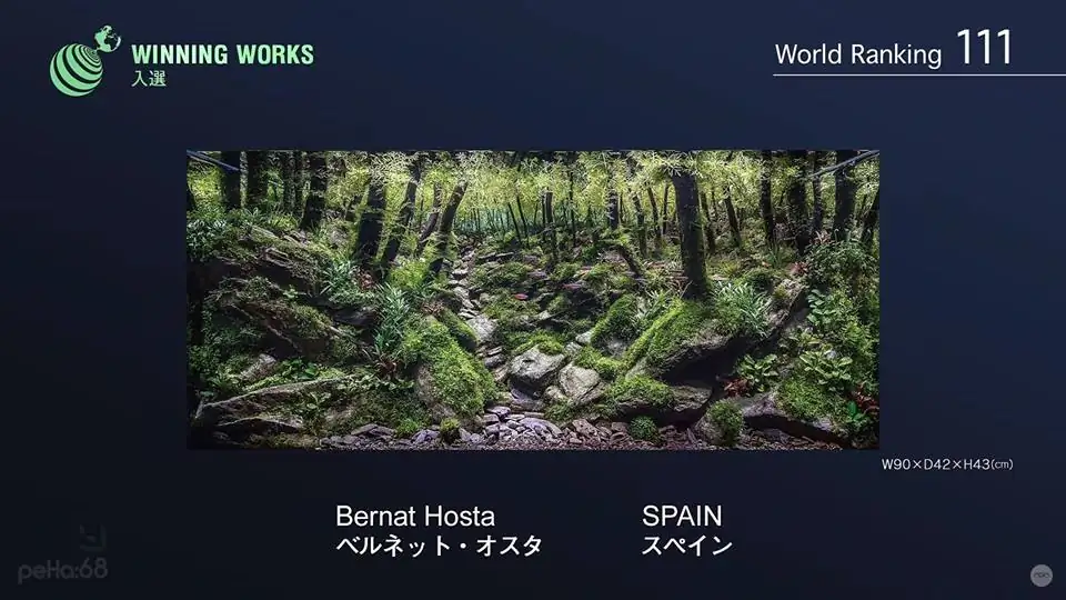 How to make an aquatic plant aquarium ranked 111th in the world - IAPLC 2017 - How to make an aquatic plant aquarium ranked 27th in the world - IAPLC 2018 - Montseny How to make an aquatic plant aquarium ranked 111th in the world - IAPLC 2017 - How to make an aquatic plant aquarium ranked 27th in the world - IAPLC 2018 - Montseny