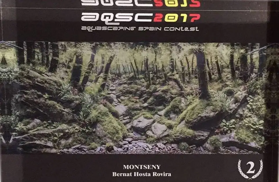 How to make an aquatic plant aquarium ranked 111th in the world - IAPLC 2017 - How to make an aquatic plant aquarium ranked 27th in the world - IAPLC 2018 - Montseny How to make an aquatic plant aquarium ranked 111th in the world - IAPLC 2017 - How to make an aquatic plant aquarium ranked 27th in the world - IAPLC 2018 - Montseny