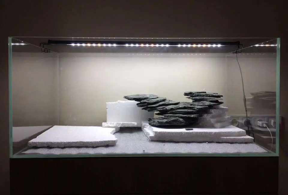 Step by step progression IAPLC 2018 Rank 12 - Fairytale Forest