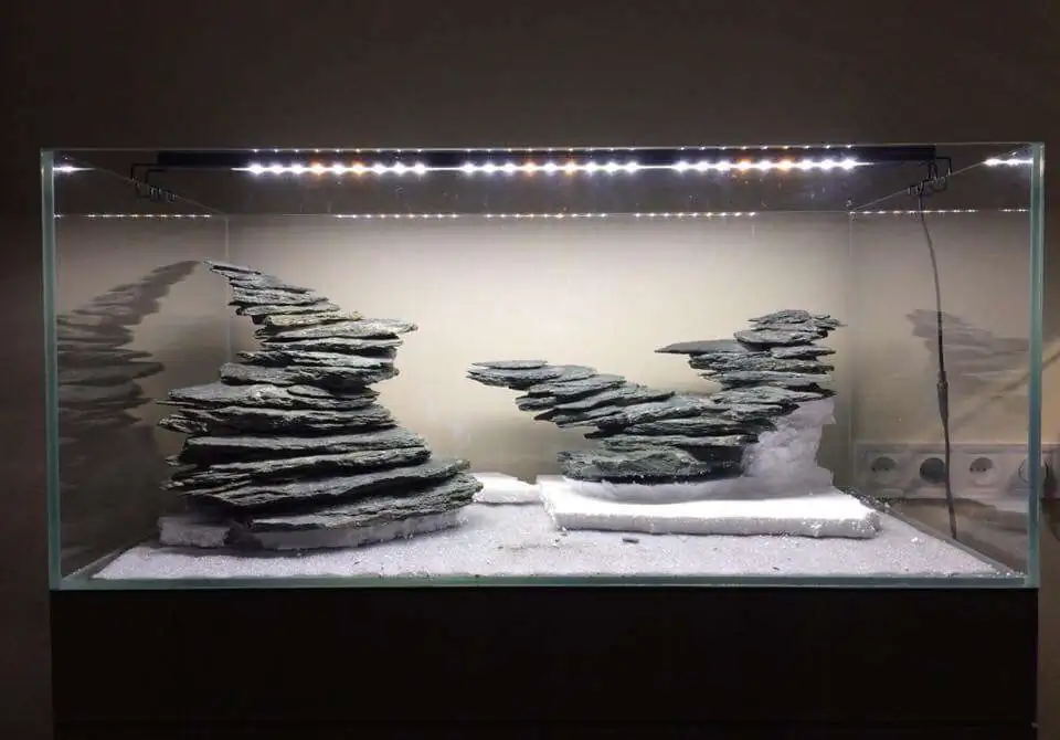 Step by step progression IAPLC 2018 Rank 12 - Fairytale Forest