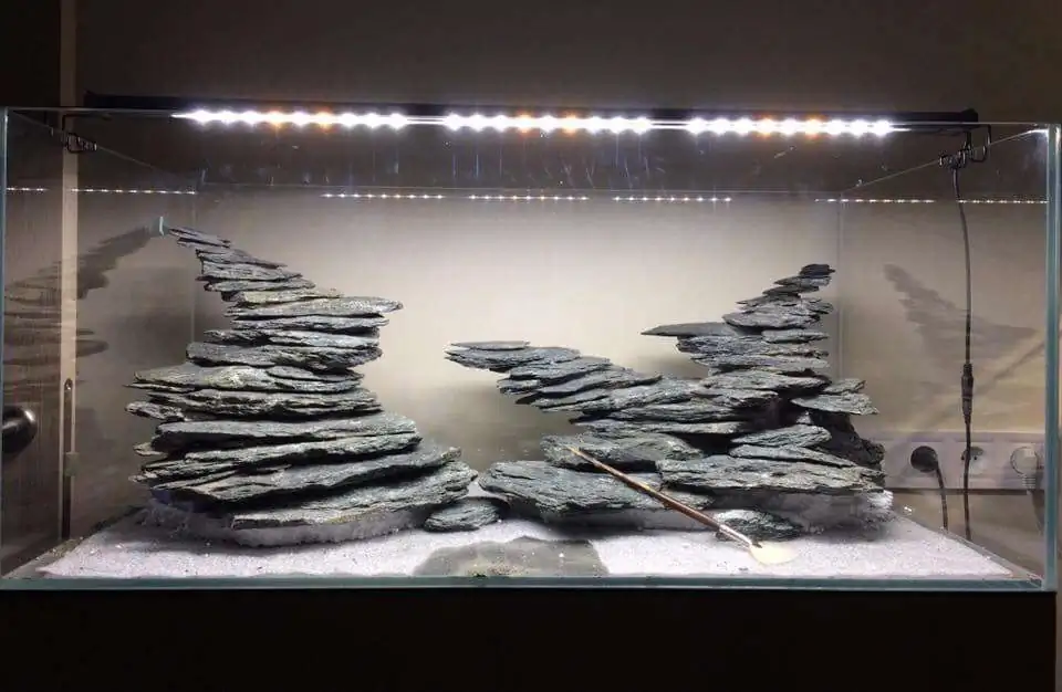 Step by step progression IAPLC 2018 Rank 12 - Fairytale Forest