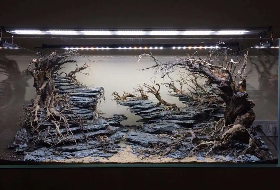 Step by step progression IAPLC 2018 Rank 12 - Fairytale Forest