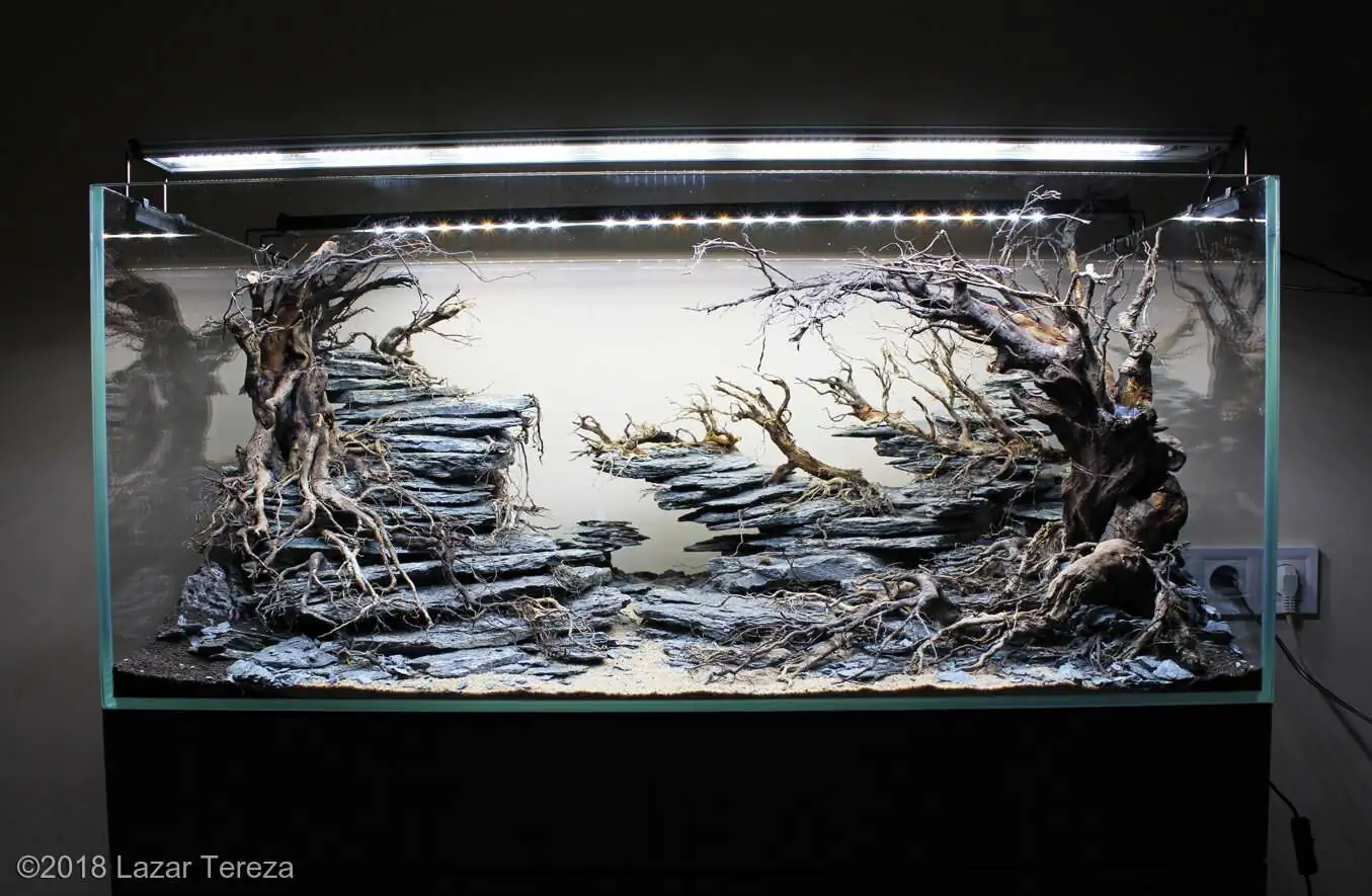 Step by step progression IAPLC 2018 Rank 12 - Fairytale Forest