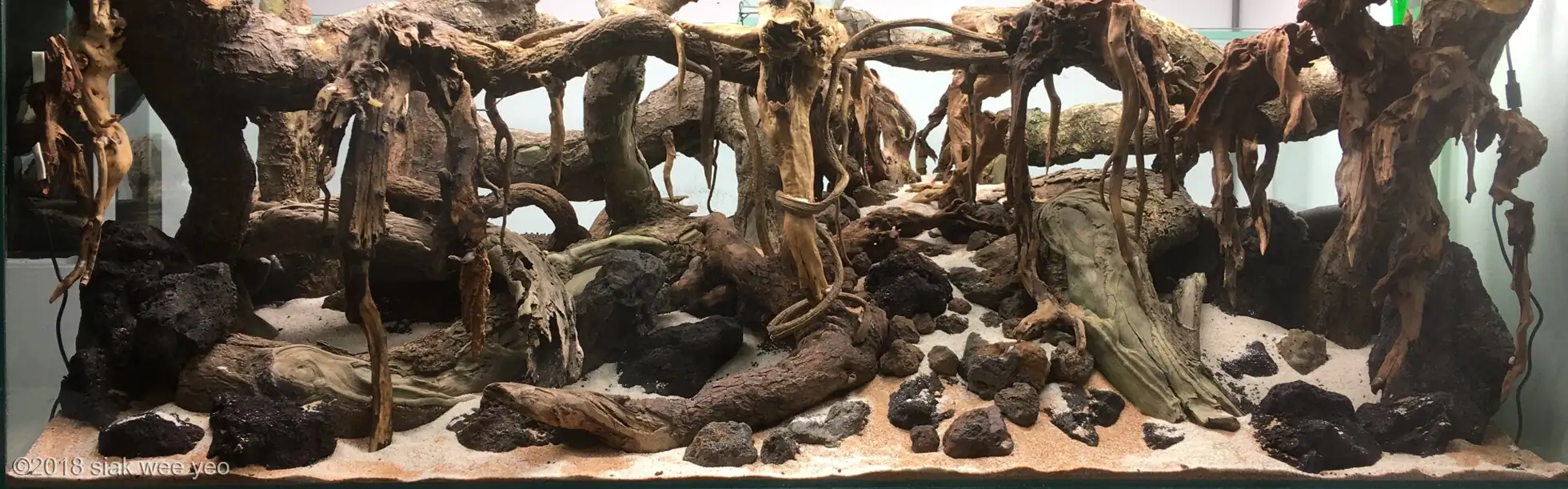 Step by step progression IAPLC 2020 GrandPrize - Eden